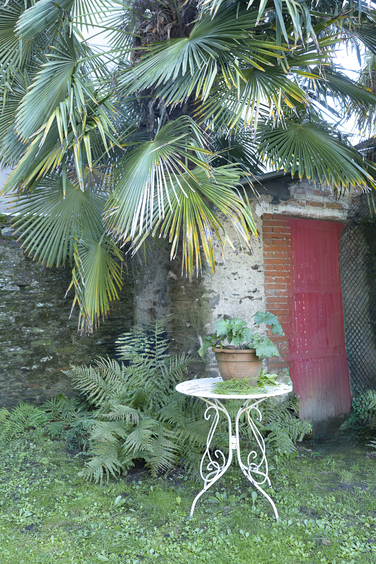Photo 5